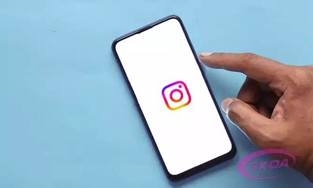Snapinsta App Download - Unduh Video Reels Instagram HD