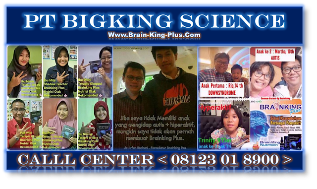 Brainking plus 08123 01 8900