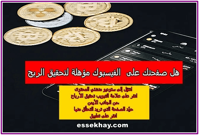 الربح من الانترنت