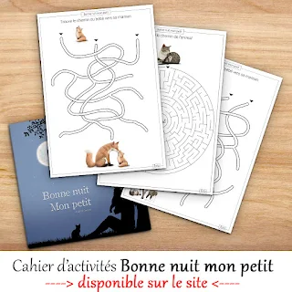 Cahier d'activités du livre Bonne nuit mon petit d'Audrey Janvier pour les enfants