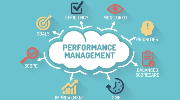 Why Performance Management is Important and How to Build a Strong System