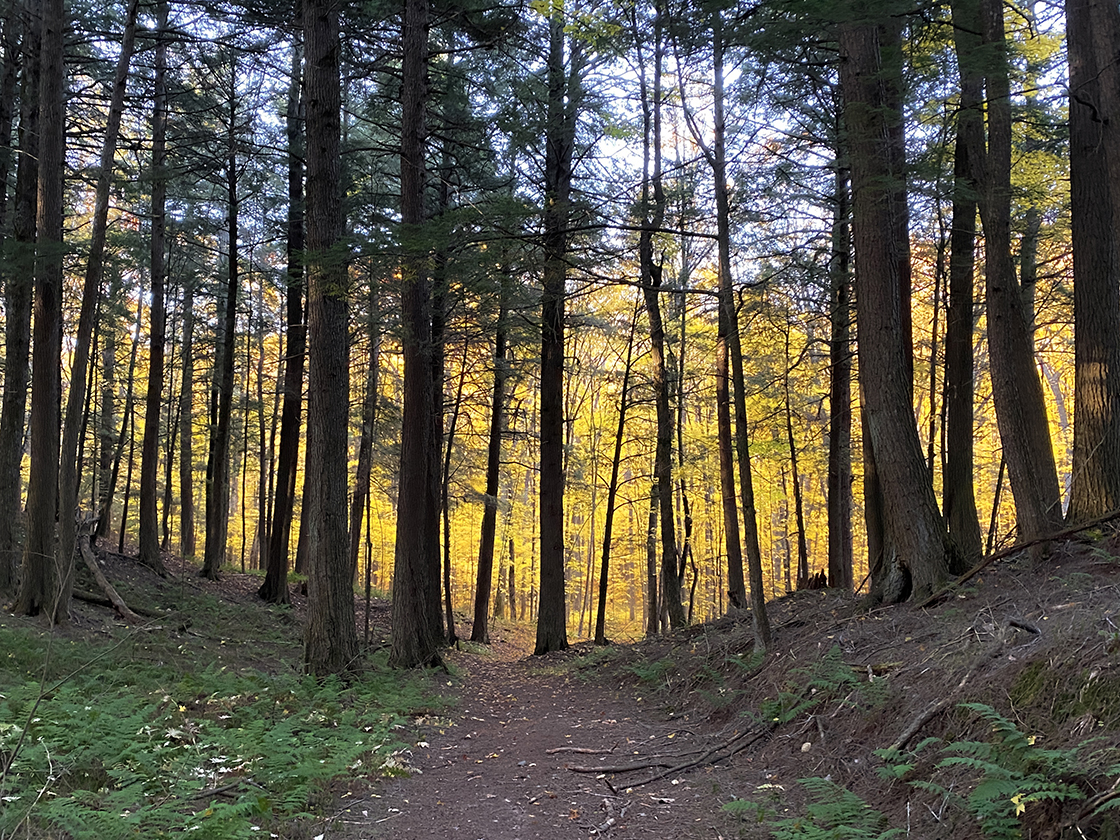 Nicolet North Trails