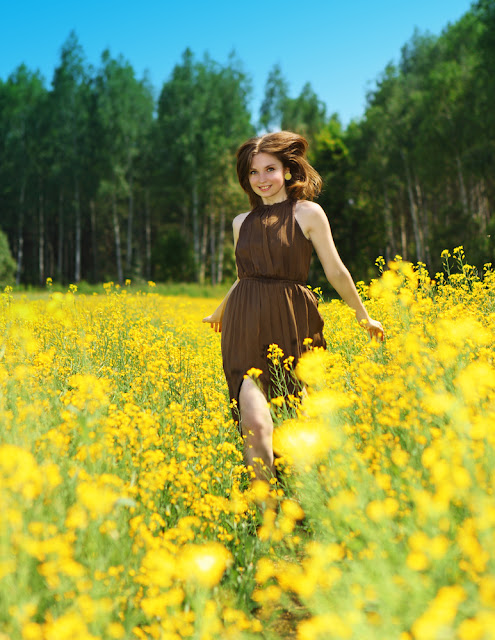 Fashion Collection Spring 2013 Brown Dress