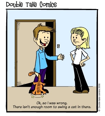 swing a cat