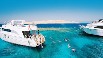 Snorkeling Tours in Sharm El Sheikh