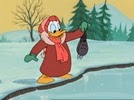 01-02 Donald