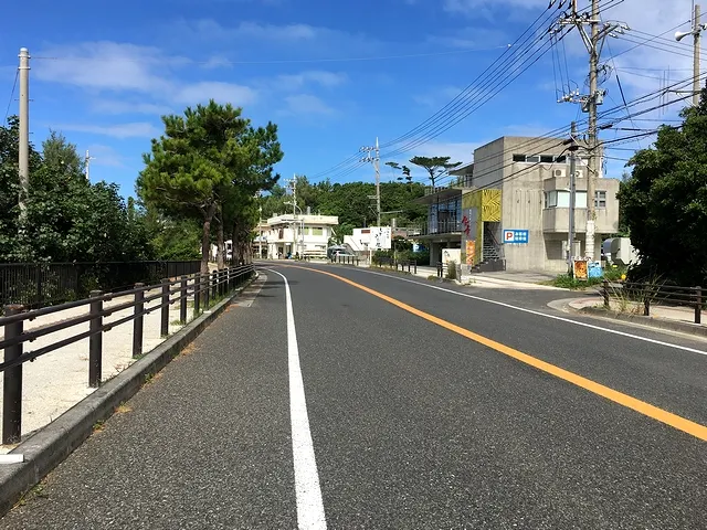 MINAMI-ONNA 8