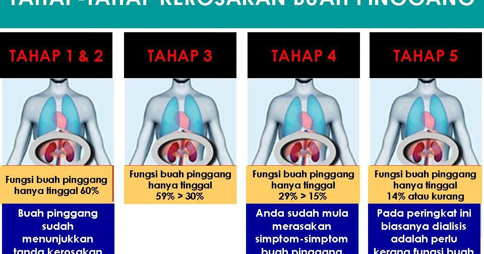 KOS RAWATAN DAN PUNCA PENYAKIT BUAH PINGGANG - Pengedar 