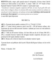 Senza titolo 2