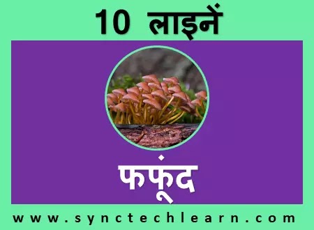 10 lines about Fungi in Hindi