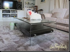 IMG_9906 copy