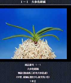  http://www.fuuran.jp/1-1.html
