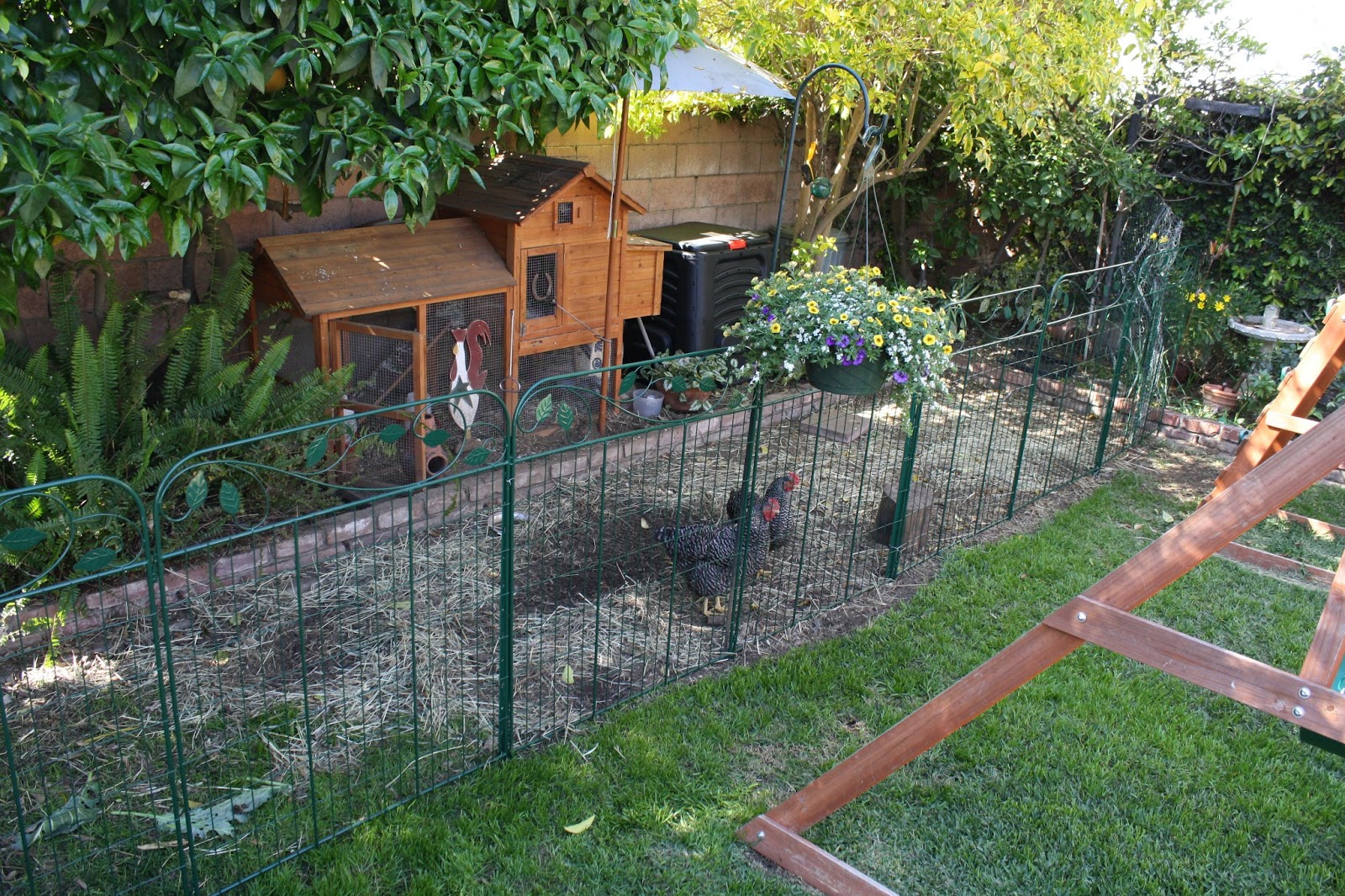 The New Chicken Fence | Sunny Simple Life