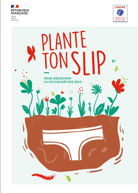 Pour changer, plantez un slip !