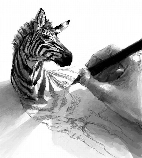 Dibujando una Zebra