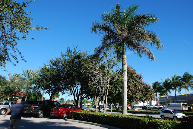 Marco Island