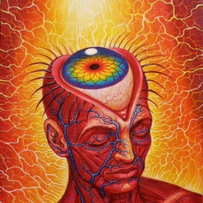 El DMT: qué es, cómo funciona y sus efectos sobre la conciencia y la percepción.