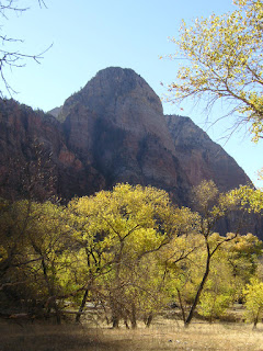 Photo of Zion National park in the Fall by Roland Lee