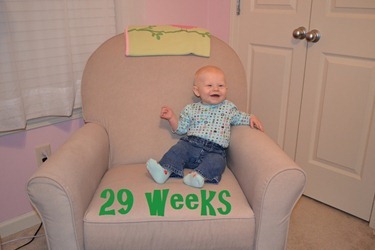week 29