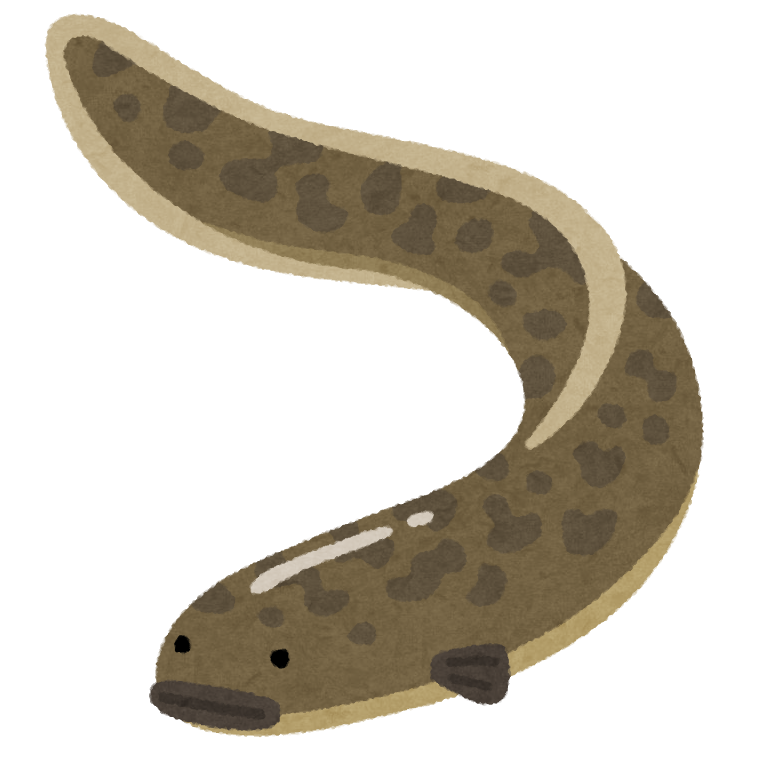 オオウナギのイラスト かわいいフリー素材集 いらすとや オオウナギのイラスト かわいいフリー素材集 いらすとや