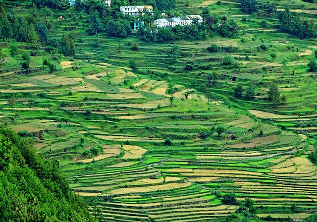 Kausani-Uttarakhand