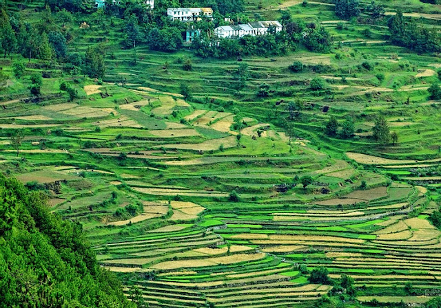 Kausani-Uttarakhand