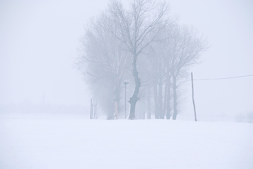 Fotografías de Invierno