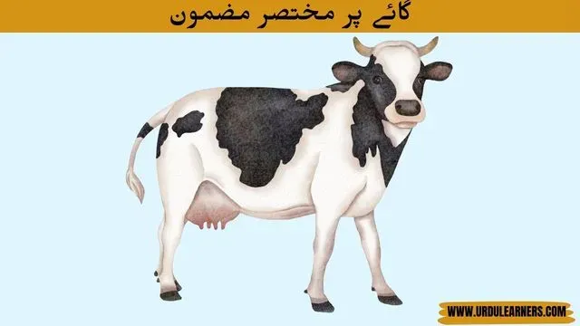Few Lines on Cow in Urdu