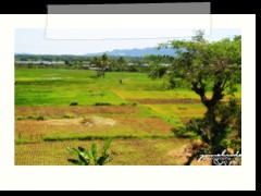 Sa Among Likod