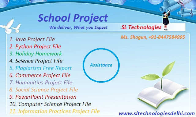 School Holiday Home Work, X and XII Project File Work (100% Genuine)