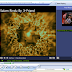 Cara Menambahkan Gambar Ke Media Music Winamp Atau Windows Media Player