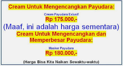 obatkeputihanvagina.blogspot.com/2014/01/masker-payudara-seksi.html