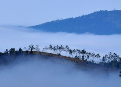 Lặng Lẽ SaPa