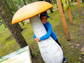 Park Olbrzymich Owadów - Ostrów Wielkopolski - podróże - podróże z dzieckiem - Jezioro Piaski Szczygliczka - jednodniowe wycieczki z dzieckiem - Wielkopolska z dzieckiem - Polska z dziećmi 