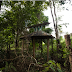 លាត​ត្រដាង​អាថ៌កំបាំង​​ផ្នូរ​ខ្មោច​ជន​ជាតិ​​​ភាគ​តិច​កាចក់​​នៅ​រតនគីរី​