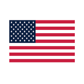 USA Logo Flag 1