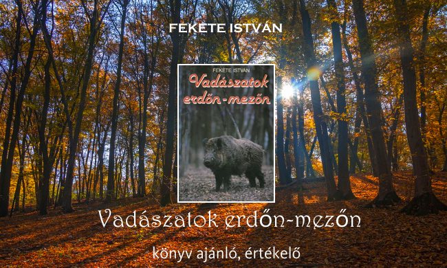 Vadászatok erdőn-mezőn könyv ajánló, értékelő