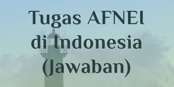 Jawaban Jelaskan Tugas AFNEI di Indonesia