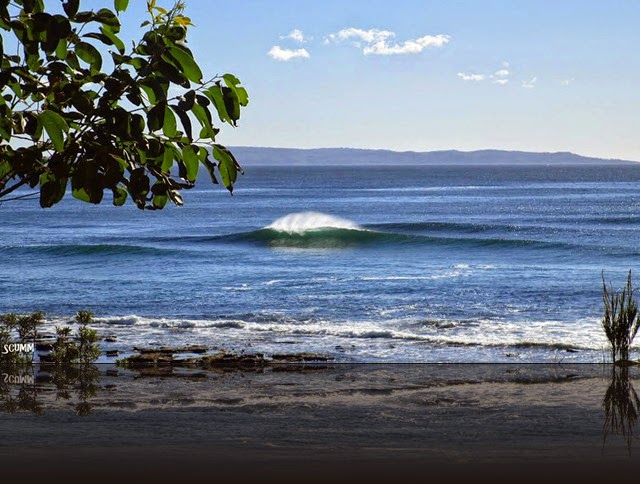 reef1