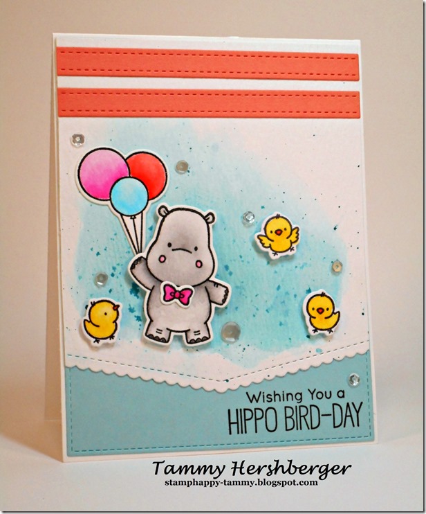 Hippo Bird-Day
