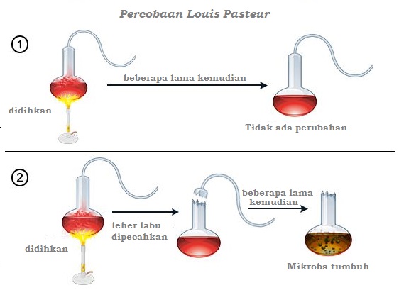 eksperimen Louis Pasteur