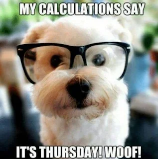 My calculations say it's Thursday! WOOF! Cute Dog Meme