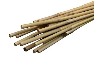 Bamboo Stakes