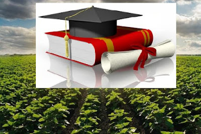 Agribusiness degrees in florida state of usa