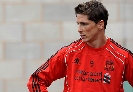 fernando torres body