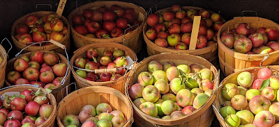 Apples ready for market