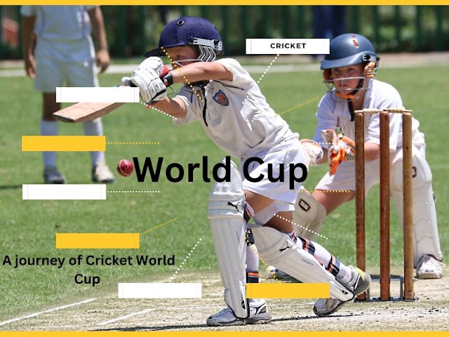 ICC Women Cricket World Cup 