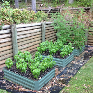 container vegetable gardening