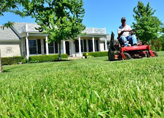 the lawn company lawsuit problem