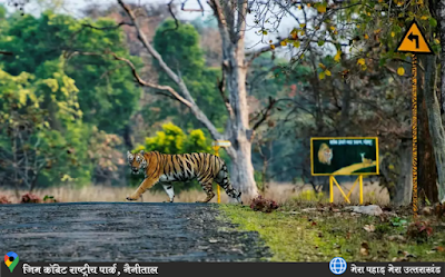 Jim Carbett National Park, Ramnagar, Nainital